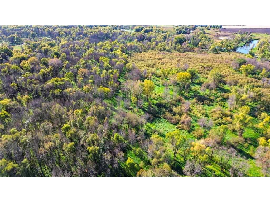 4250 35th Street SW Waverly MN 55390 - Crow River 6802246 image11