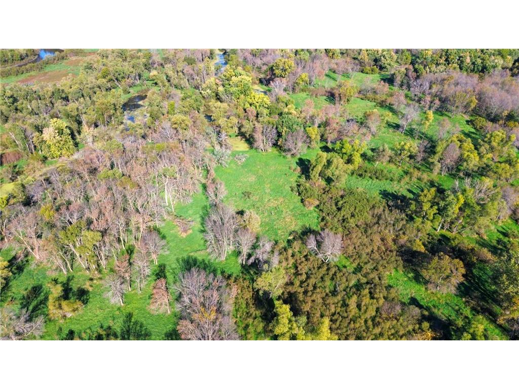 4250 35th Street SW Waverly MN 55390 - Crow River 6802246 image13