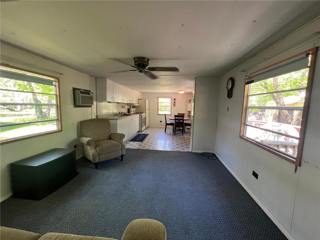 42502 49 240th Street, Battle Lake, MN, 56515 MLS 6544485 Edina