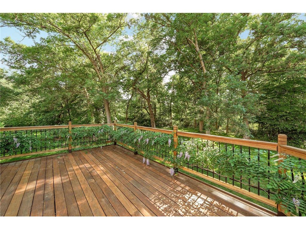4258 153rd Avenue NE Ham Lake MN 55304 7092042 image39