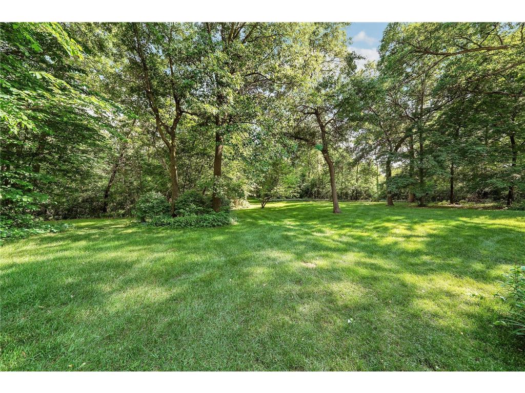 4258 153rd Avenue NE Ham Lake MN 55304 7092042 image46