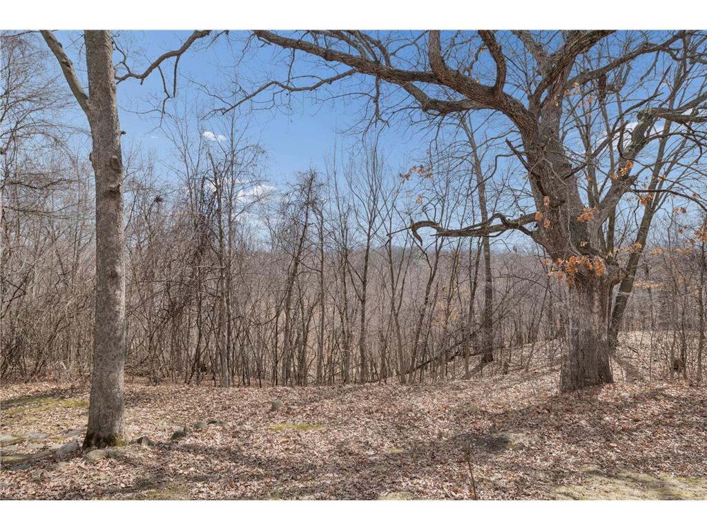 42615 Daisy Avenue Harris MN 55032 7029048 image9