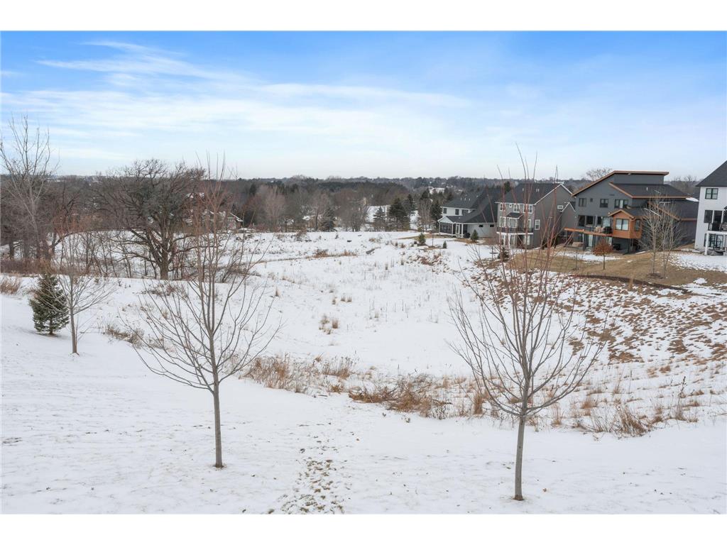 4263 Swallowtail Lane Woodbury MN 55129 7011908 image17