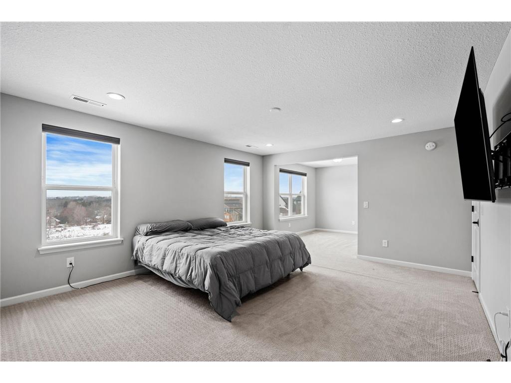 4263 Swallowtail Lane Woodbury MN 55129 7011908 image54