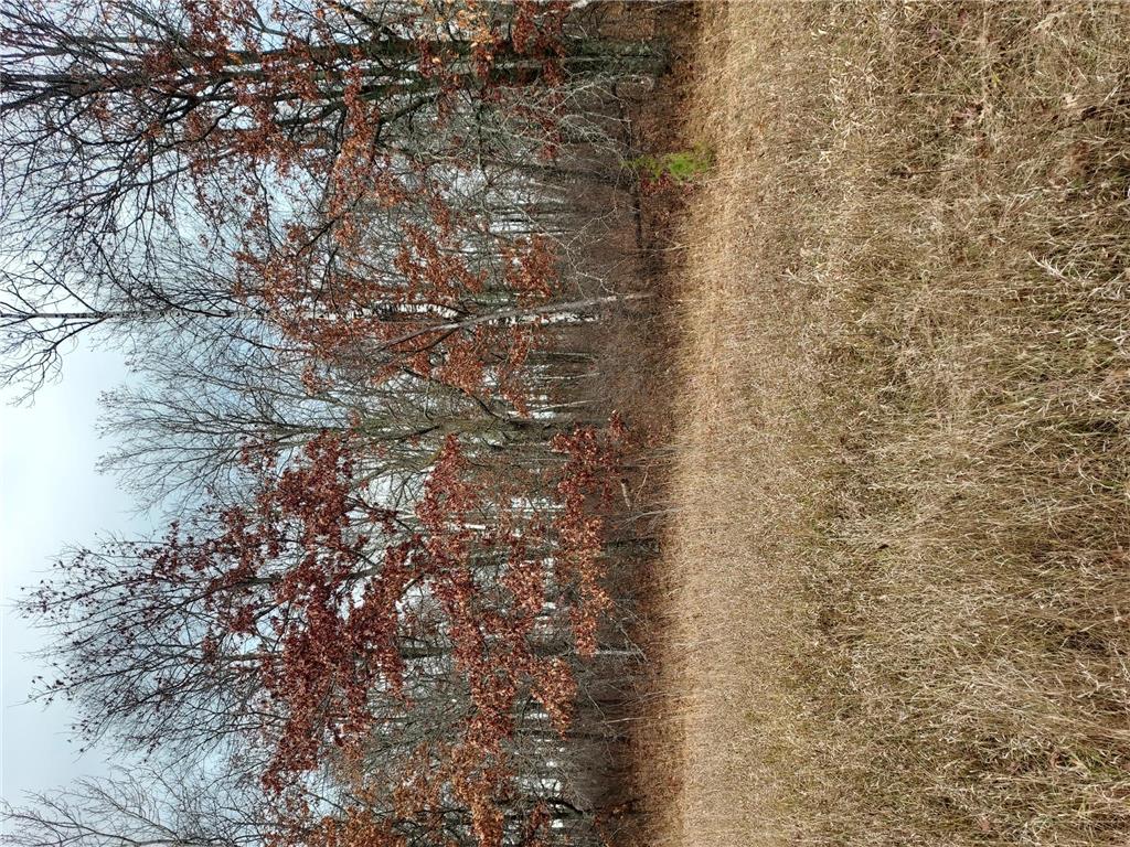 42646 Bulldozed Road Gail Lake Twp MN 56474 6620447 image1