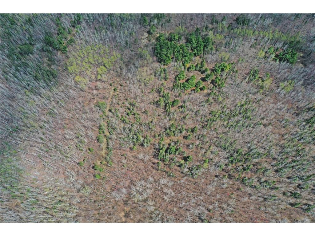 4268 Crane Lake Road Orr MN 55771 7051256 image12