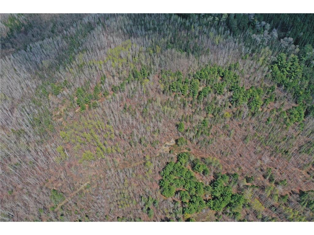4268 Crane Lake Road Orr MN 55771 7051256 image13