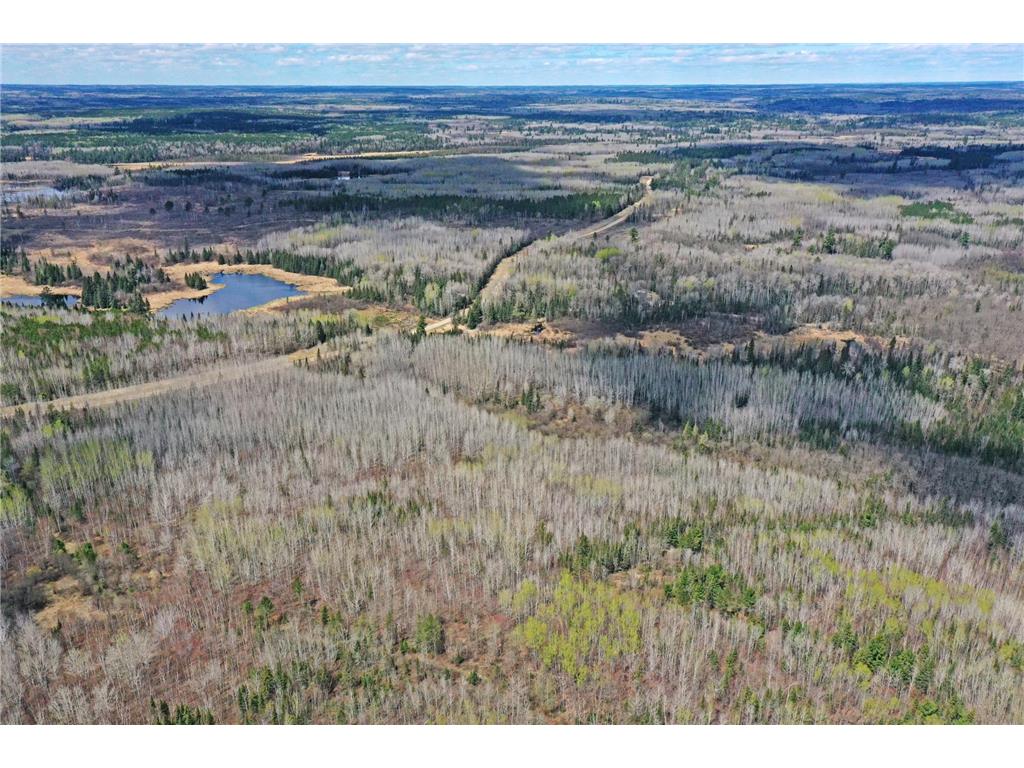 4268 Crane Lake Road Orr MN 55771 7051256 image14