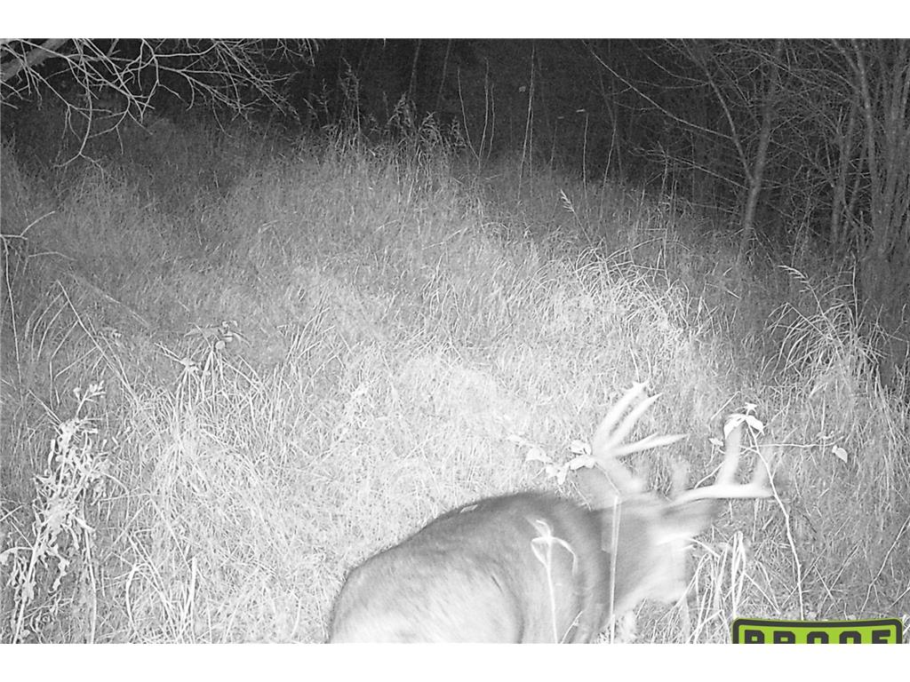 4268 Crane Lake Road Orr MN 55771 7051256 image19