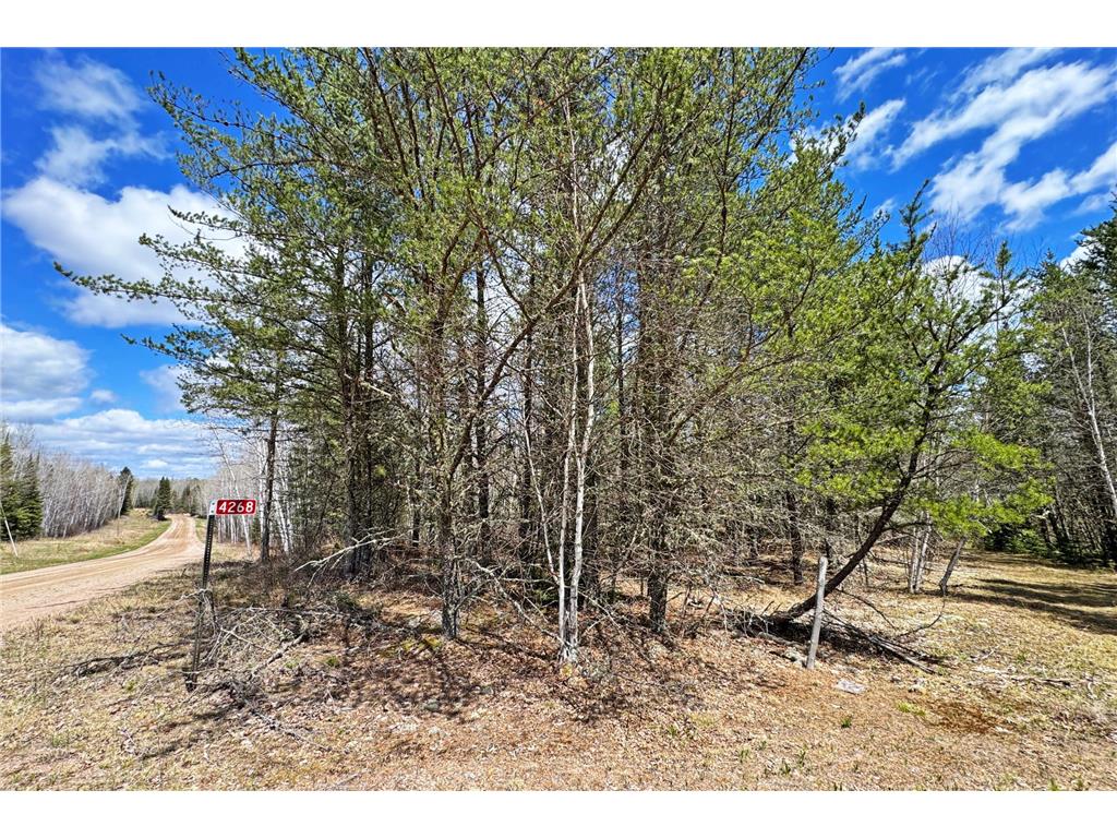 4268 Crane Lake Road Orr MN 55771 7051256 image26