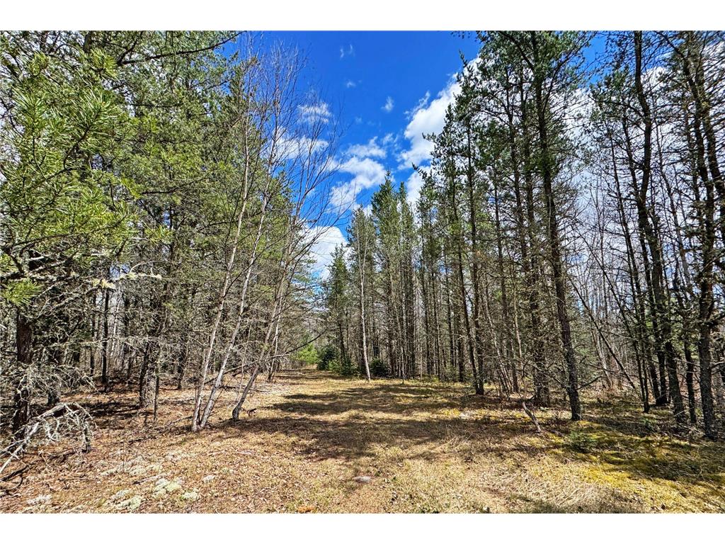 4268 Crane Lake Road Orr MN 55771 7051256 image27