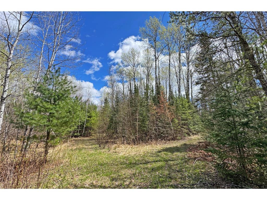 4268 Crane Lake Road Orr MN 55771 7051256 image28