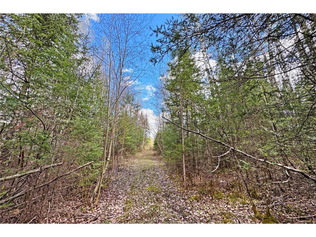 4268 Crane Lake Road Orr MN 55771 7051256 image29