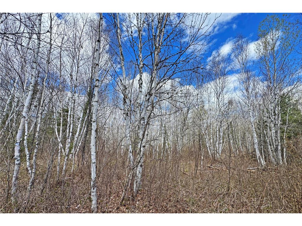4268 Crane Lake Road Orr MN 55771 7051256 image30