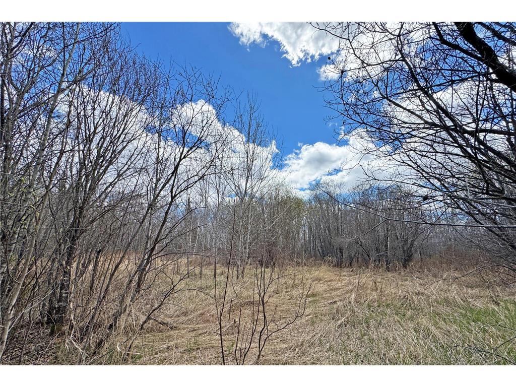 4268 Crane Lake Road Orr MN 55771 7051256 image31