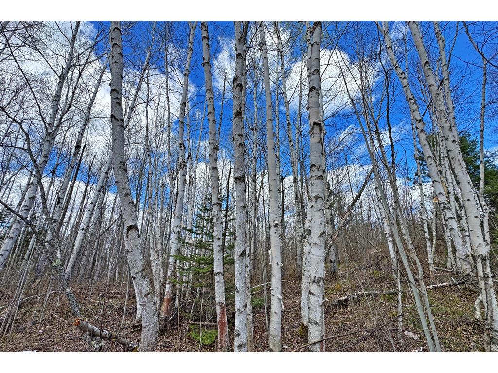 4268 Crane Lake Road Orr MN 55771 7051256 image32