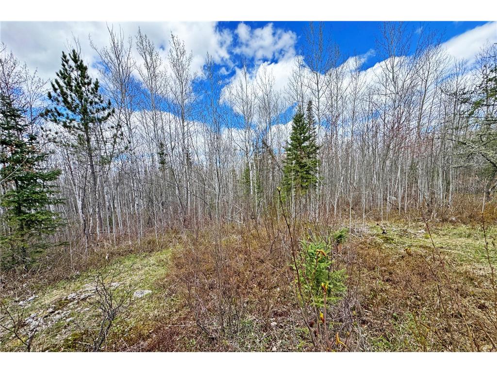 4268 Crane Lake Road Orr MN 55771 7051256 image33