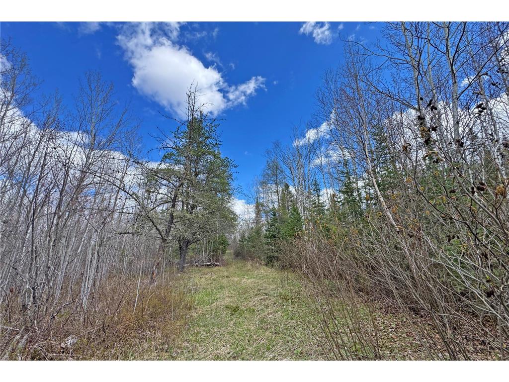 4268 Crane Lake Road Orr MN 55771 7051256 image34