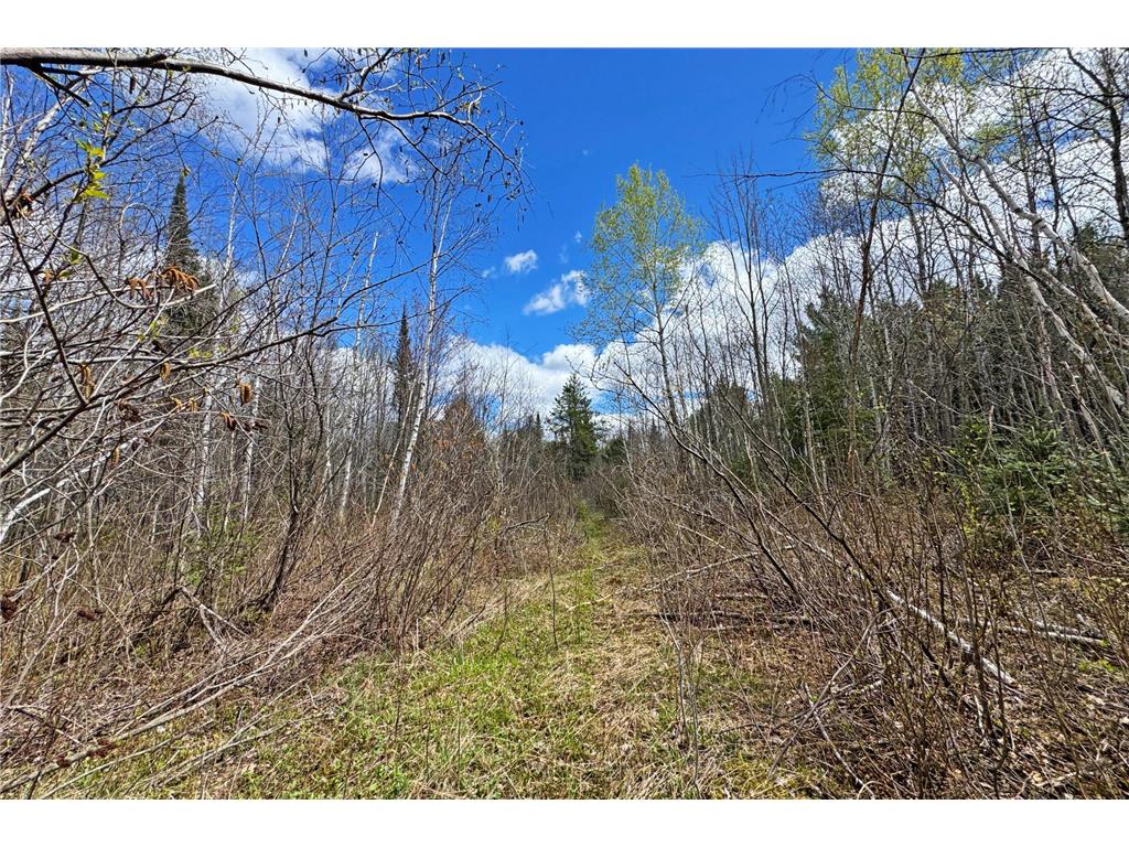 4268 Crane Lake Road Orr MN 55771 7051256 image35