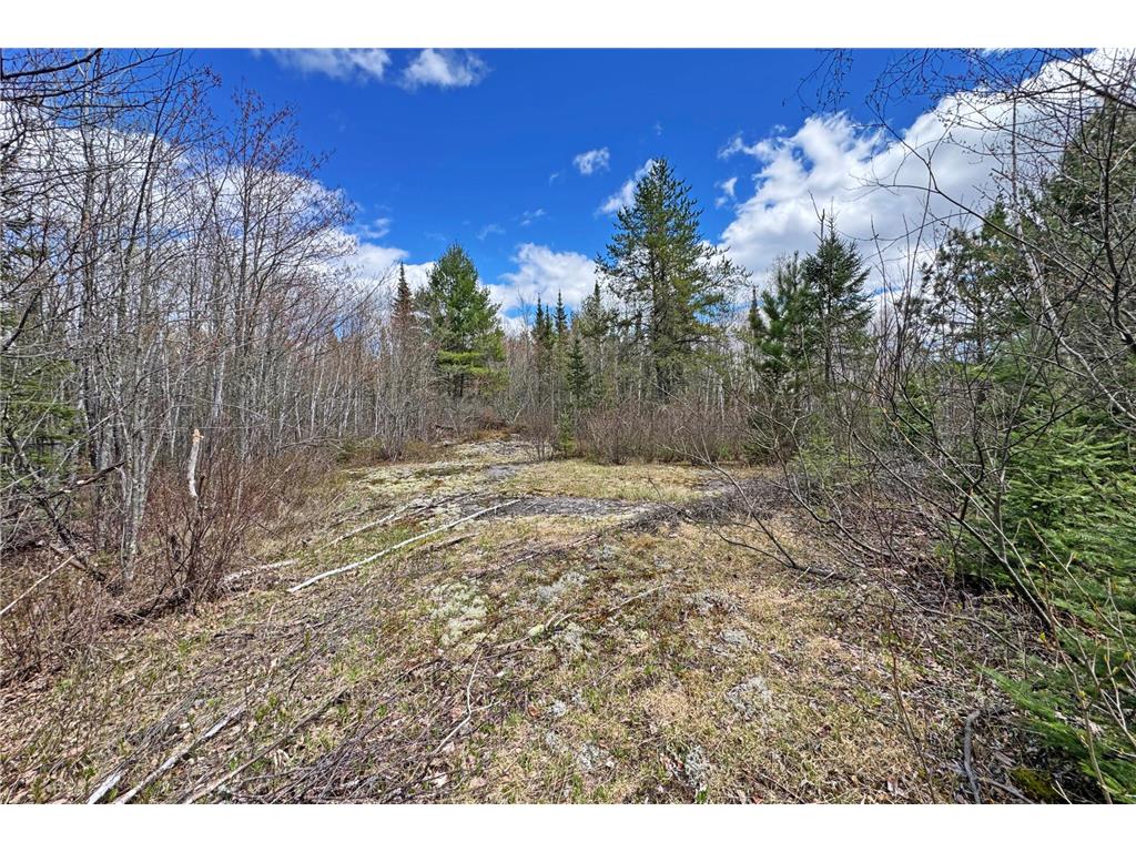 4268 Crane Lake Road Orr MN 55771 7051256 image36