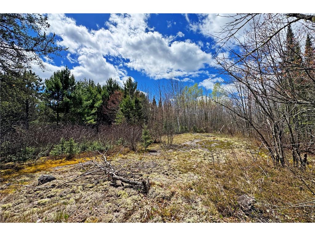 4268 Crane Lake Road Orr MN 55771 7051256 image37