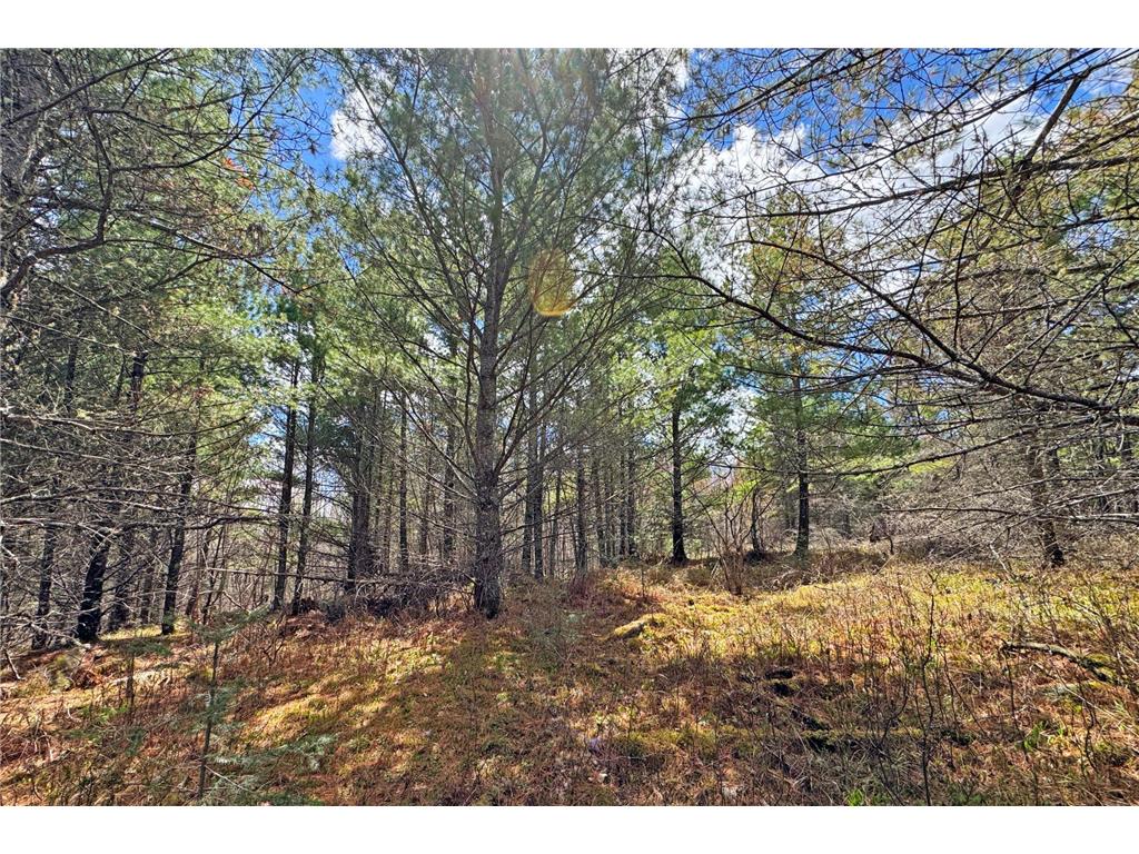 4268 Crane Lake Road Orr MN 55771 7051256 image38