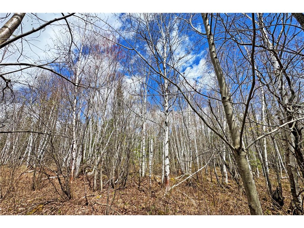 4268 Crane Lake Road Orr MN 55771 7051256 image39
