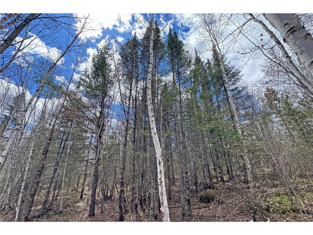4268 Crane Lake Road Orr MN 55771 7051256 image41