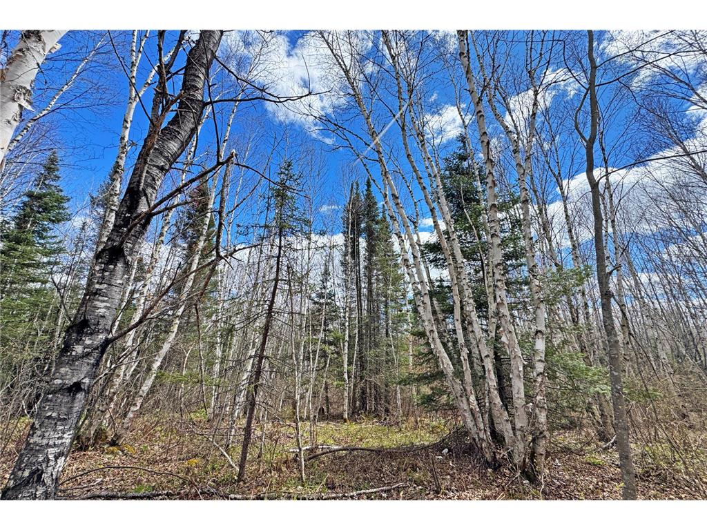 4268 Crane Lake Road Orr MN 55771 7051256 image42
