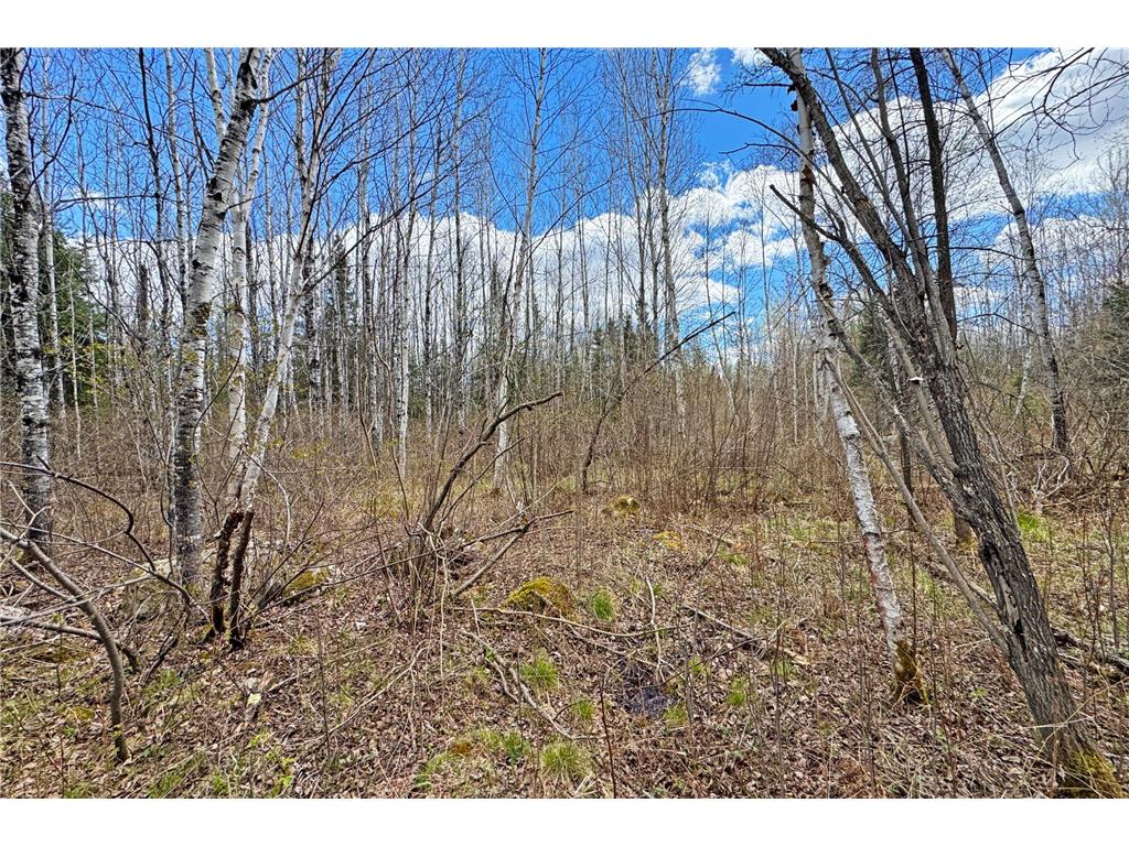 4268 Crane Lake Road Orr MN 55771 7051256 image43