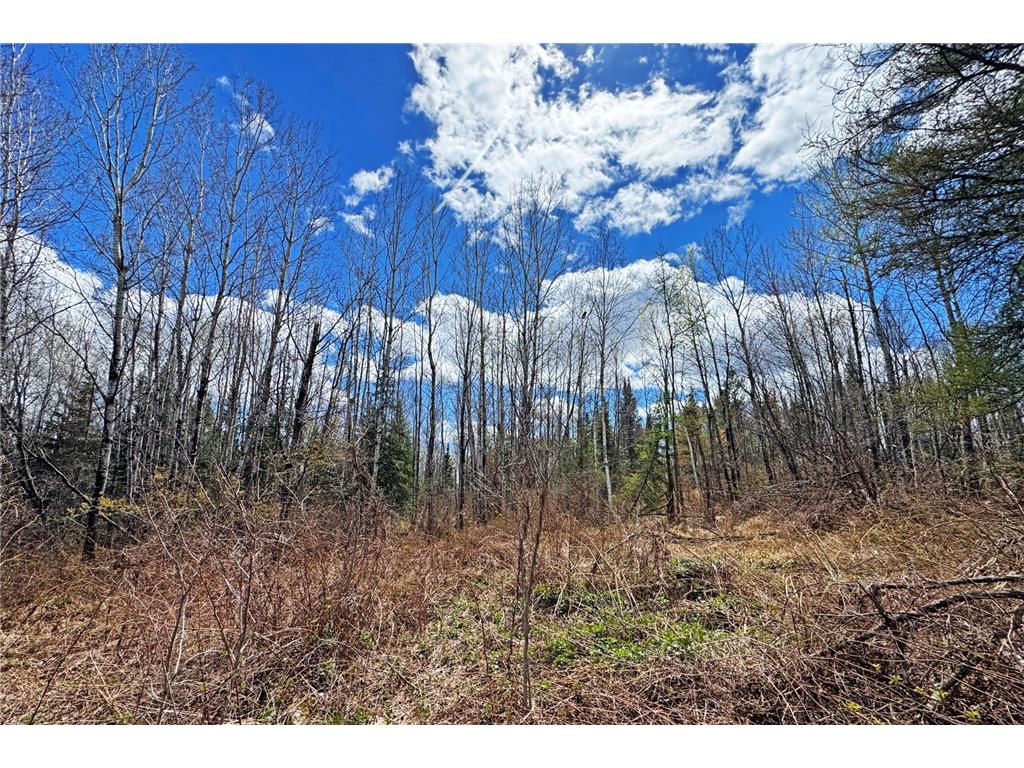 4268 Crane Lake Road Orr MN 55771 7051256 image44