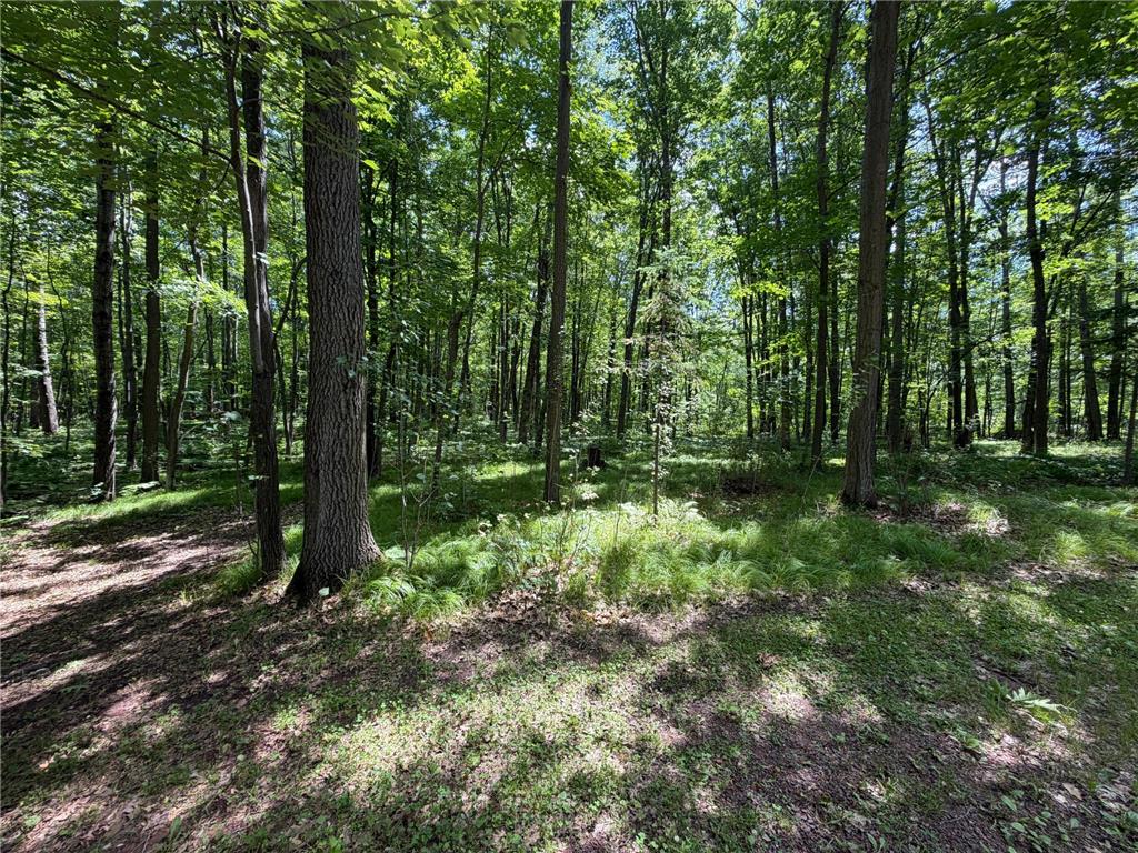 42680 Leigh Drive Partridge Twp MN 55712 7107418 image14