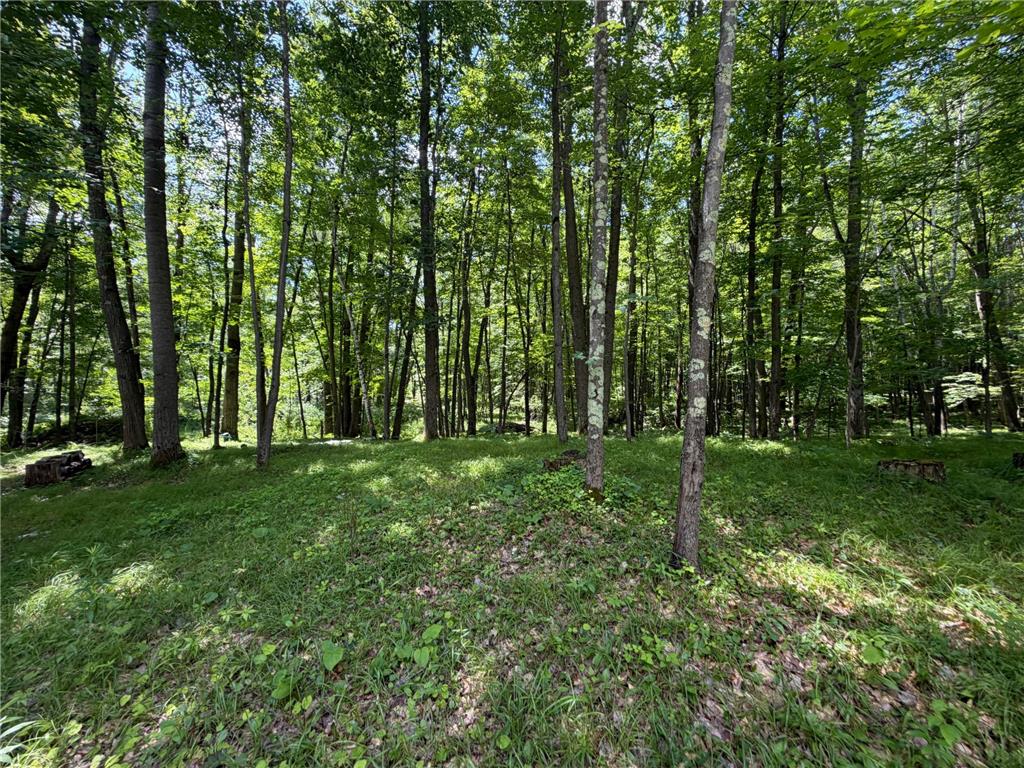 42680 Leigh Drive Partridge Twp MN 55712 7107418 image15