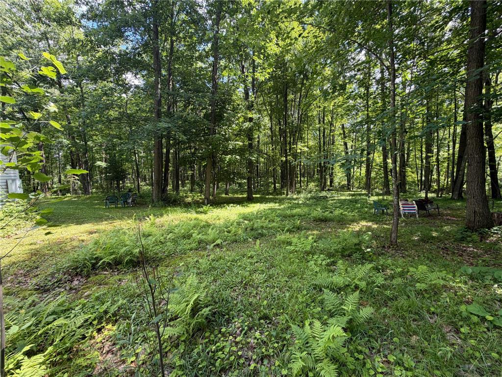 42680 Leigh Drive Partridge Twp MN 55712 7107418 image16