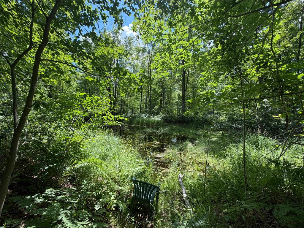 42680 Leigh Drive Partridge Twp MN 55712 7107418 image3