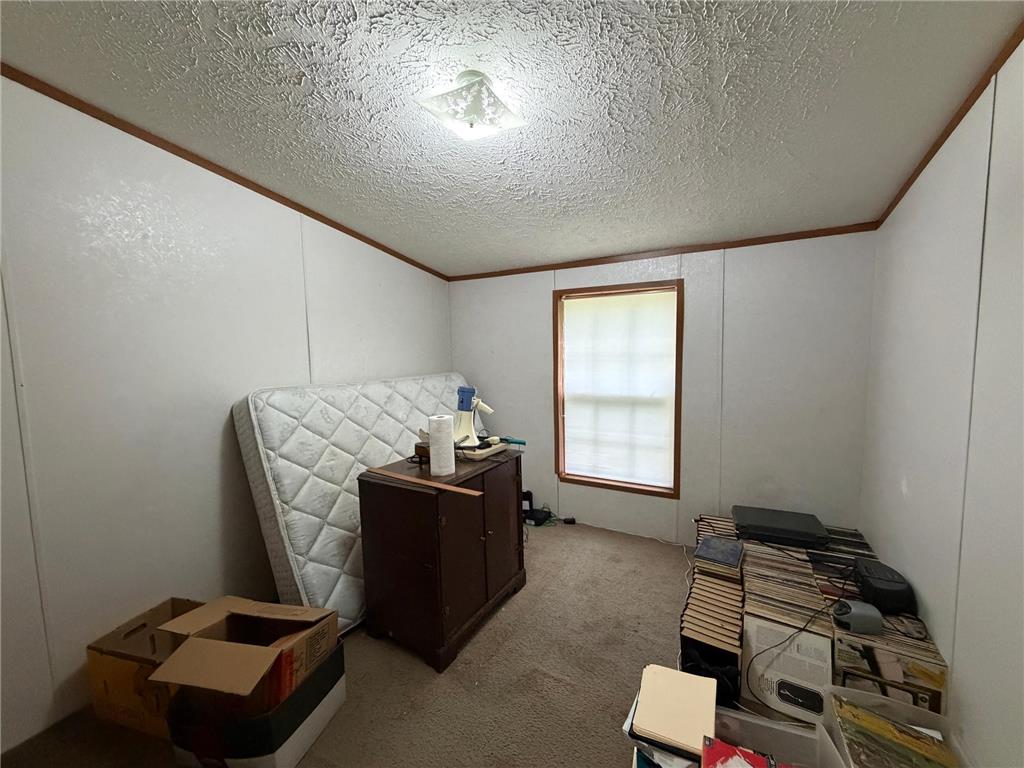 42680 Leigh Drive Partridge Twp MN 55712 7107418 image8