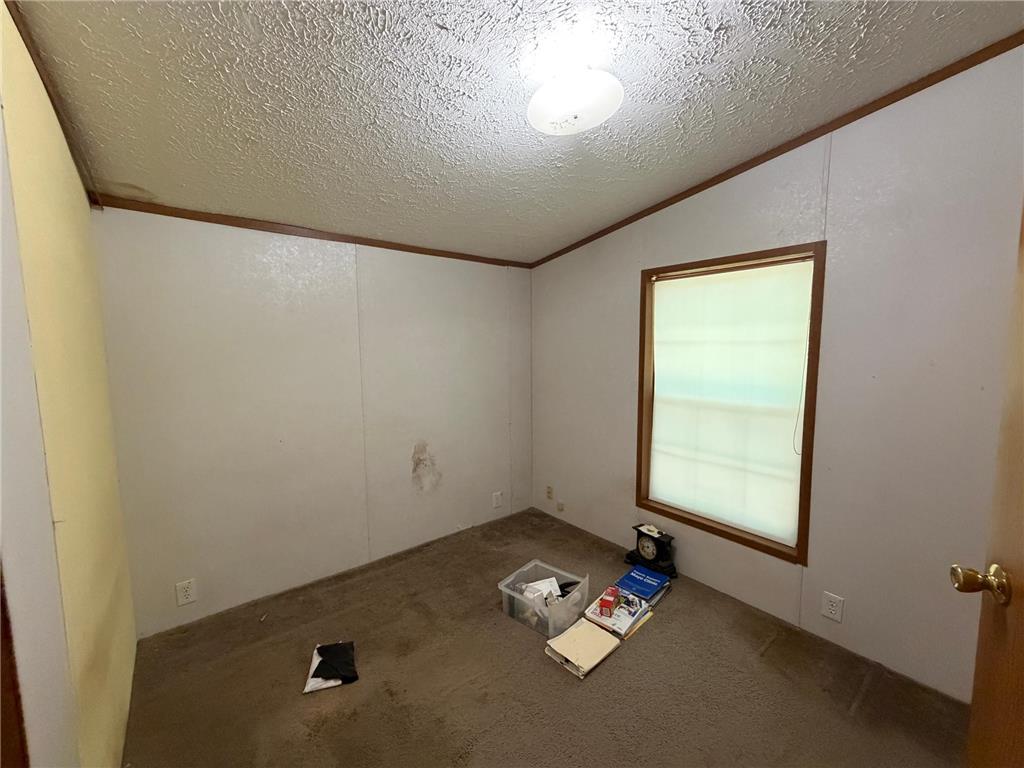 42680 Leigh Drive Partridge Twp MN 55712 7107418 image9