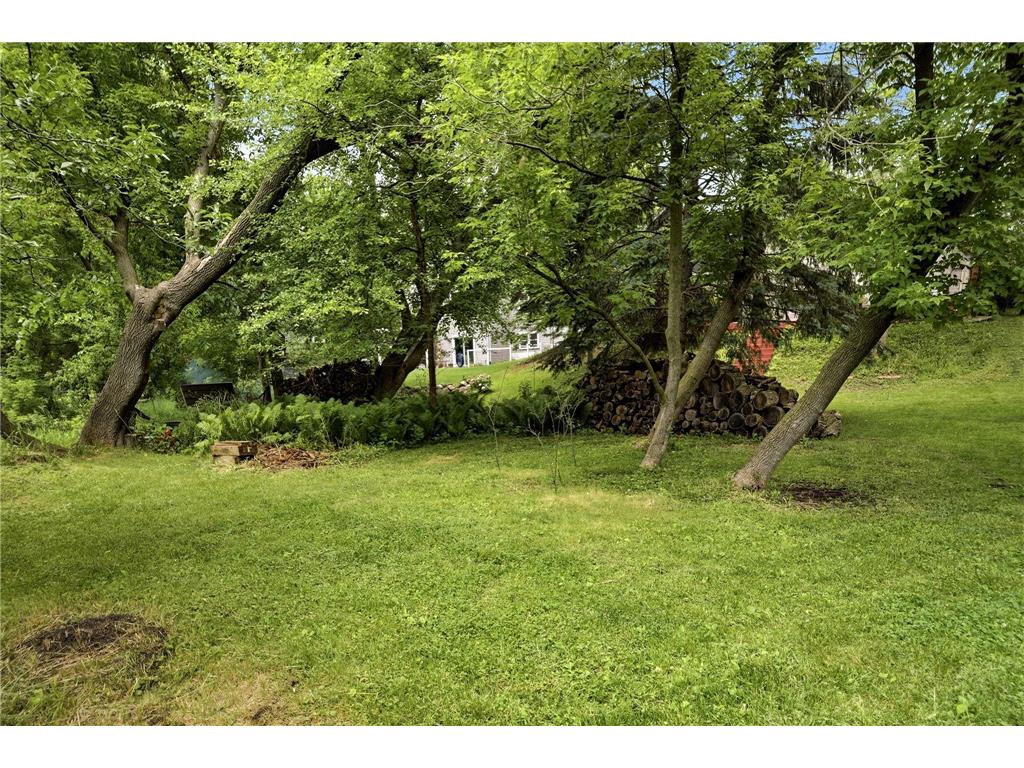 4269 Joppa Circle Savage MN 55378 7052247 image44