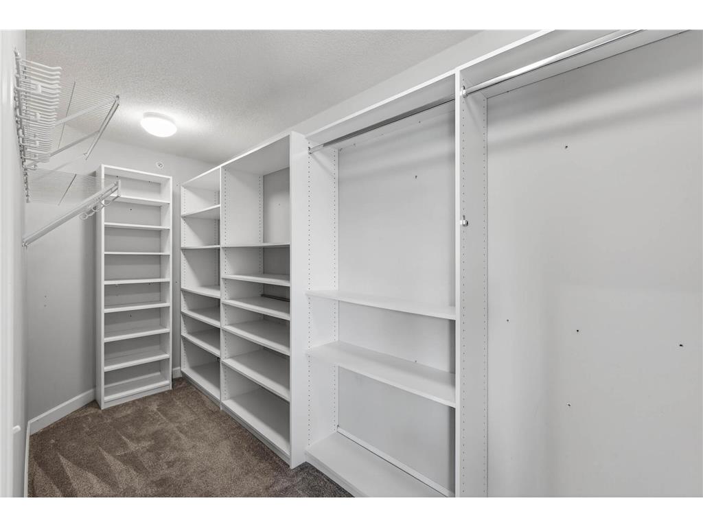 4270 Corn Silk Lane Woodbury MN 55129 6824237 image21