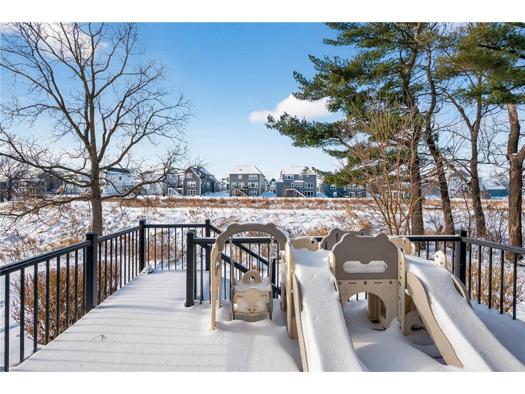 4270 Corn Silk Lane Woodbury MN 55129 6824237 image28