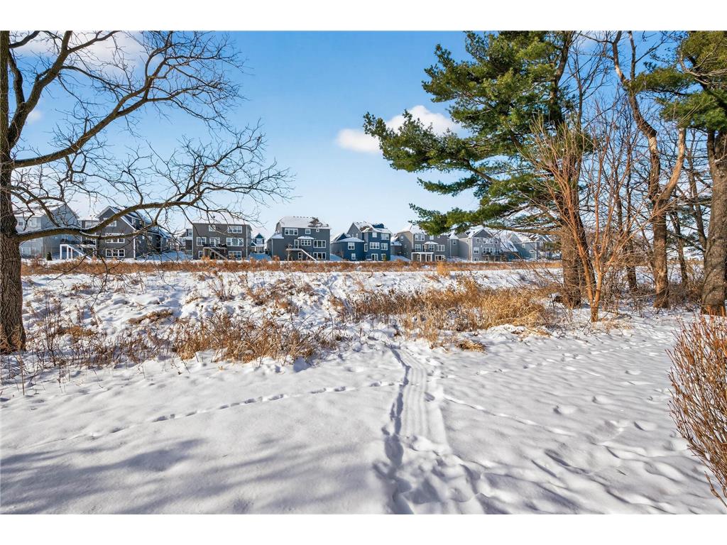 4270 Corn Silk Lane Woodbury MN 55129 6824237 image29