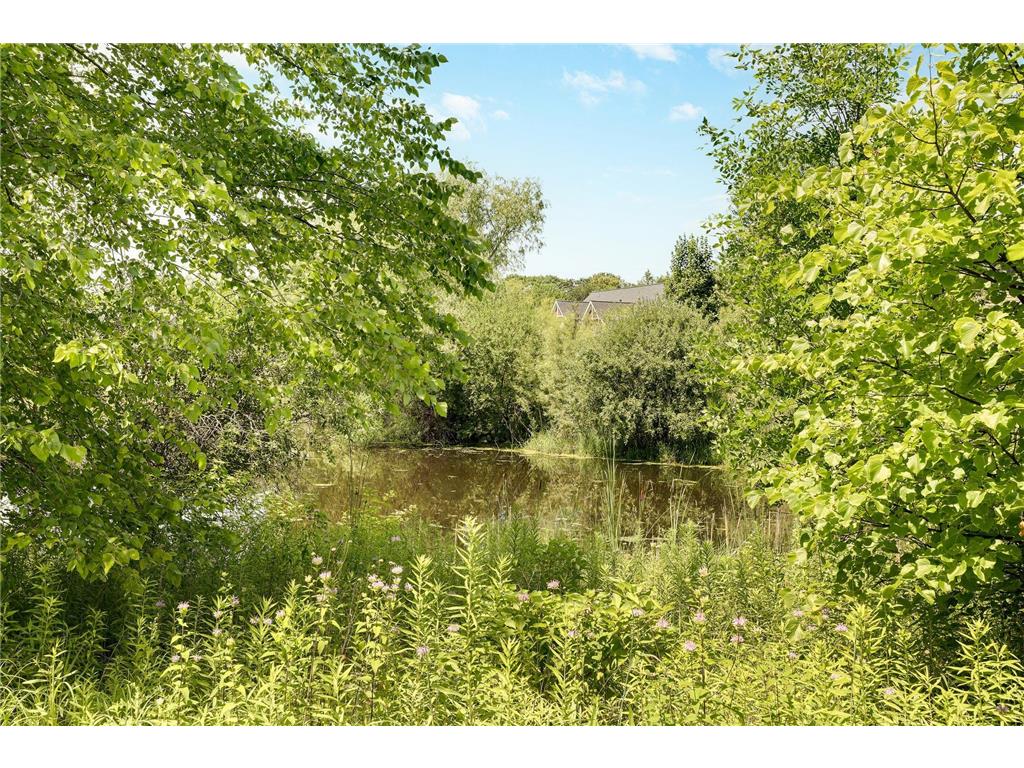 4270 Wild Meadows Drive Medina MN 55340 7108626 image30