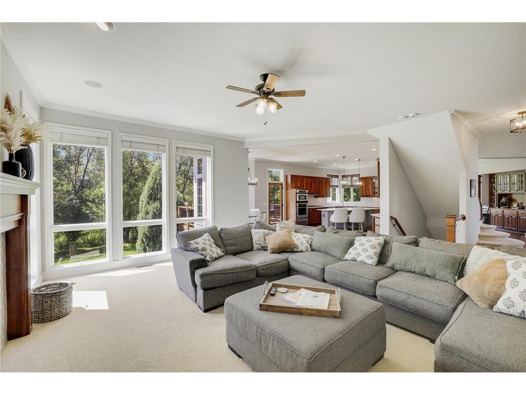 4270 Wild Meadows Drive Medina MN 55340 7108626 image6