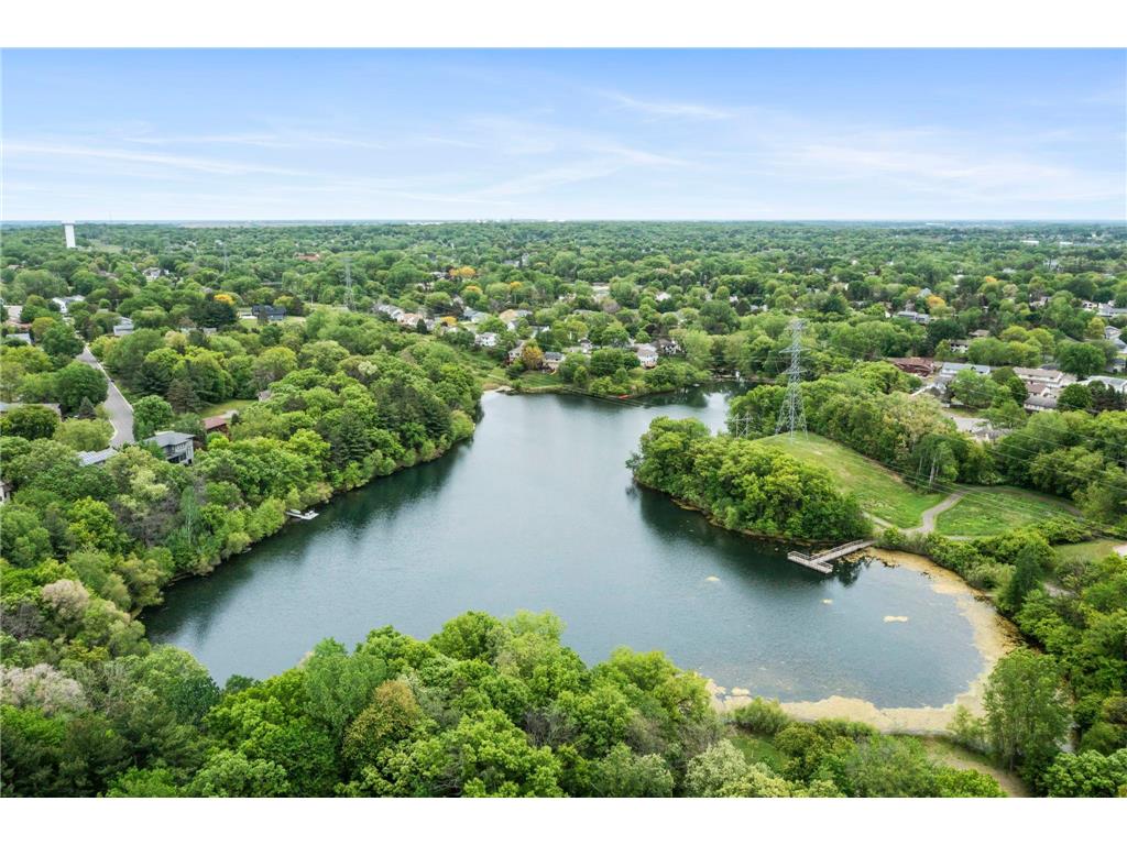 4271 Valley Forge Place Eagan MN 55123 7078947 image46