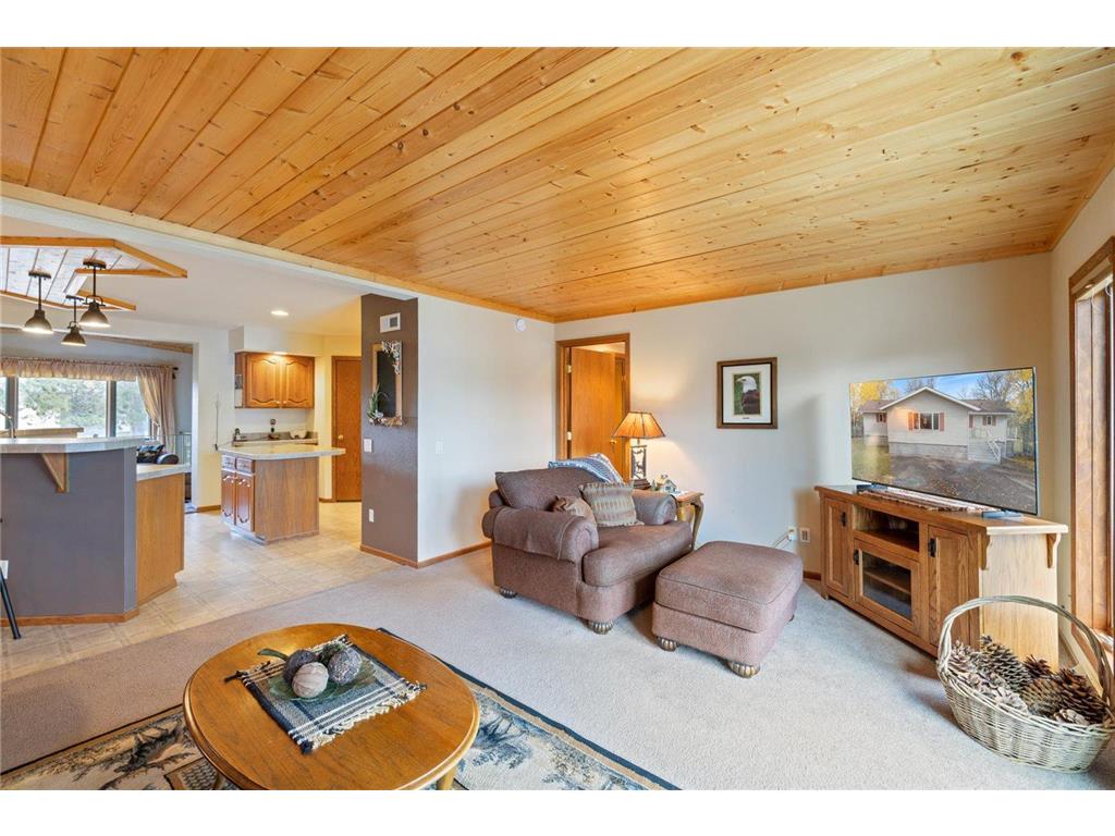 4281 End Of Trail Lane Greenwood Twp MN 55790 - Vermilion 7069387 image19