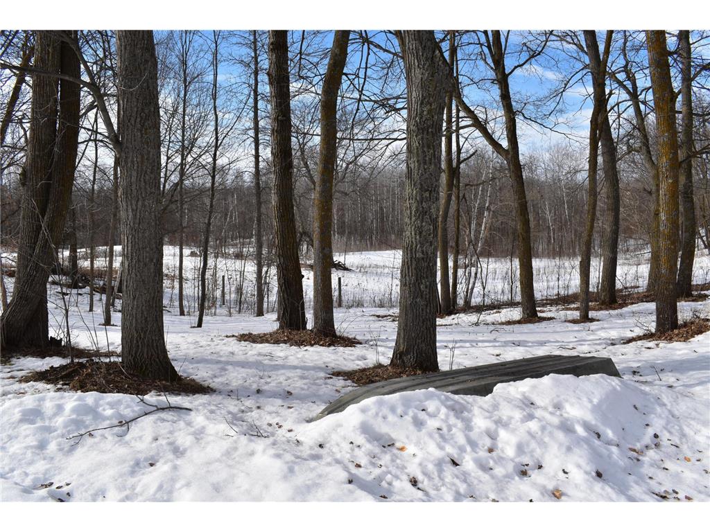 42810 County Highway 26 Rochert MN 56578 7023482 image18