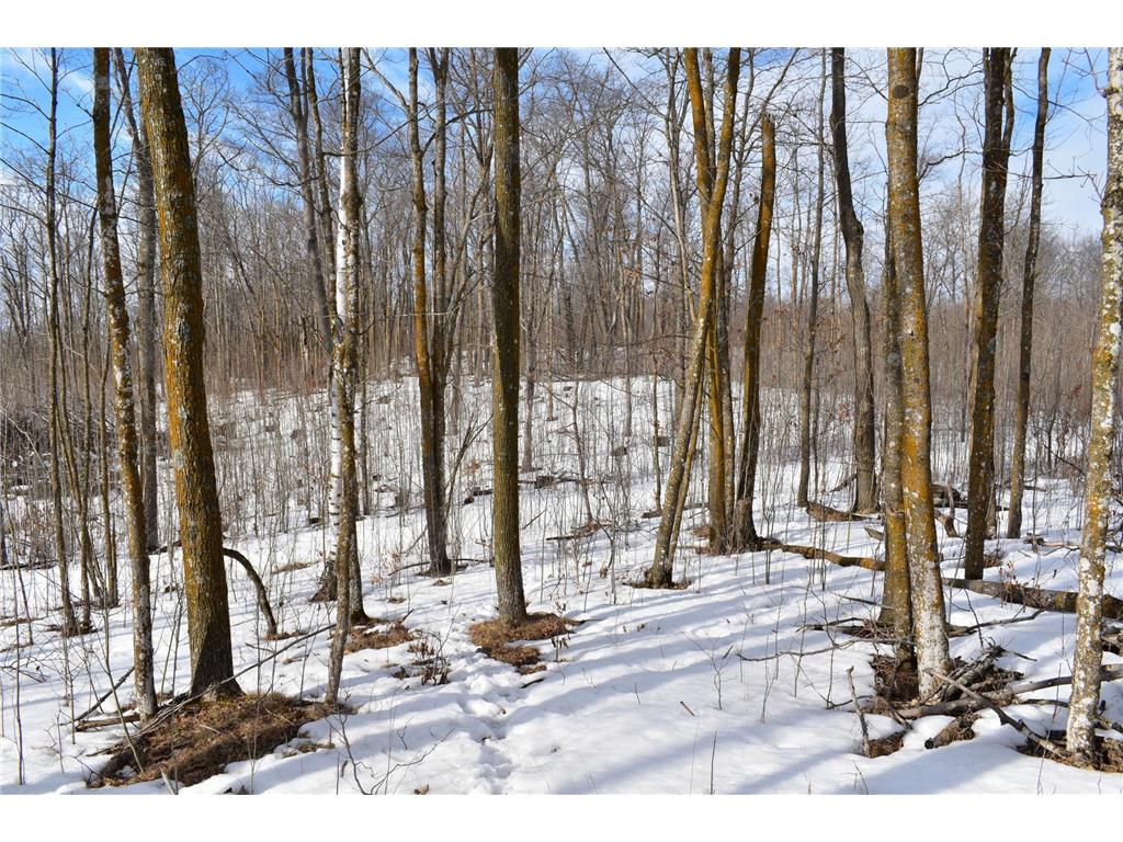 42810 County Highway 26 Rochert MN 56578 7023482 image24