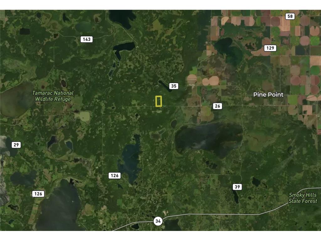 42810 County Highway 26 Rochert MN 56578 7023482 image78