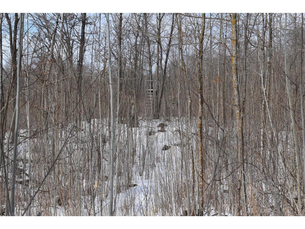 42810 County Highway 26 Rochert MN 56578 7051624 image14