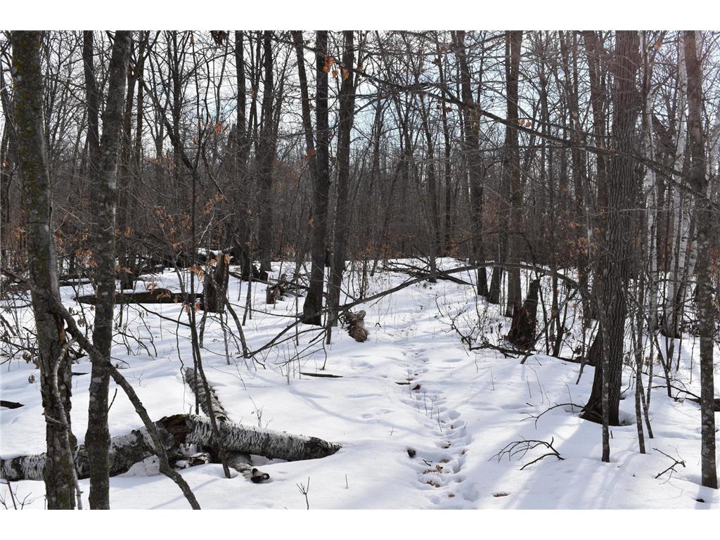 42810 County Highway 26 Rochert MN 56578 7051624 image15